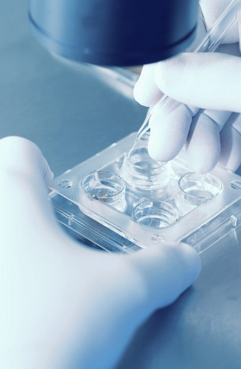 Microscope and plate